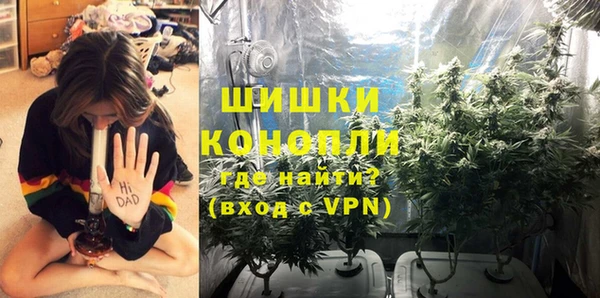 марки lsd Гусиноозёрск