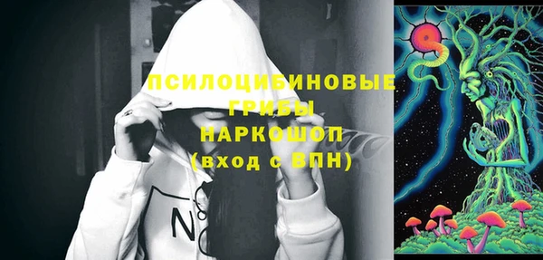 марки lsd Гусиноозёрск