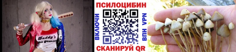 Купить  Томари  Галлюциногенные грибы Psilocybine cubensis 